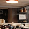 Fontana Arte Ceiling Lamps Pangen 01